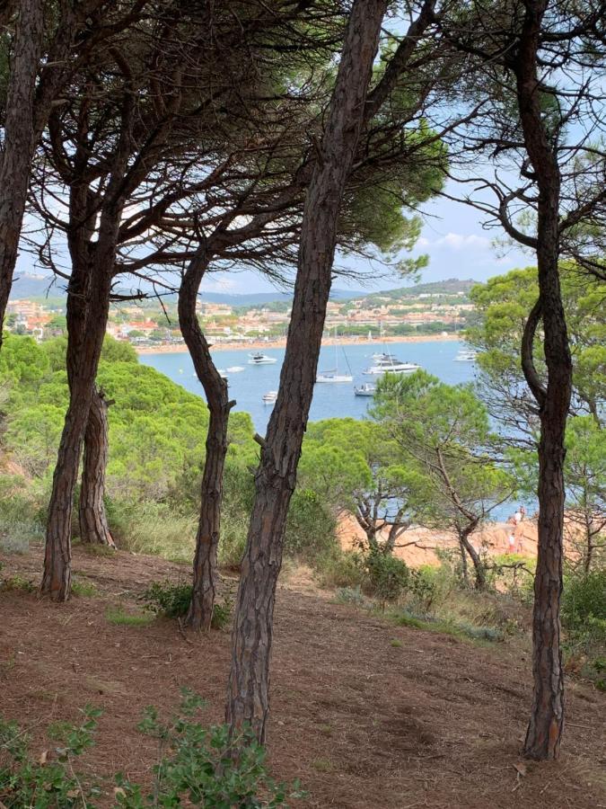 Apartamento Luminoso Paloma A 350 Metros De La Playa Con Parking Gratuito Sant Feliu de Guixols Exterior foto