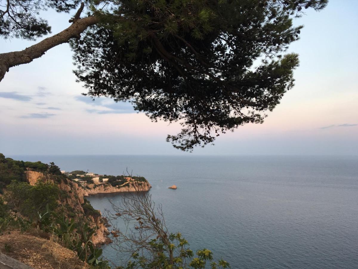 Apartamento Luminoso Paloma A 350 Metros De La Playa Con Parking Gratuito Sant Feliu de Guixols Exterior foto